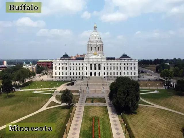 Minnesota capital